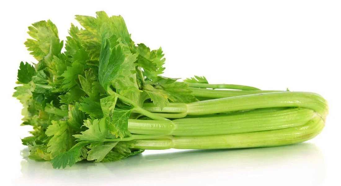 300 Heirloom Giant Tendercrisp Celery Seeds Non-GMO Juicy, Delicious and Flavorful, Apium graveolens from USA