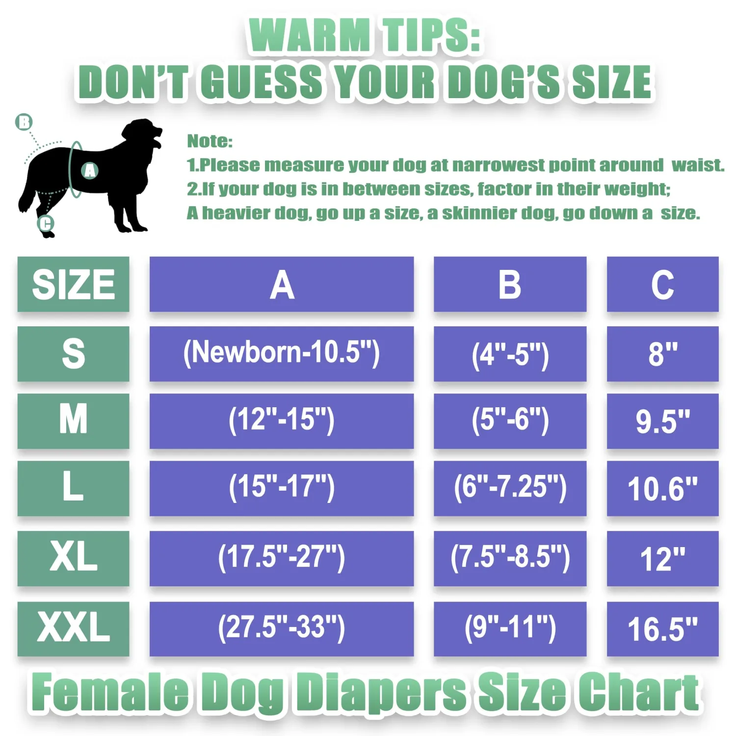 wegreeco Luxury Washable Reusable Dog Diapers (Stylish Pattern) - Female Dog Diapers, Doggie Diapers, 3 Pack (Fancy, Medium)