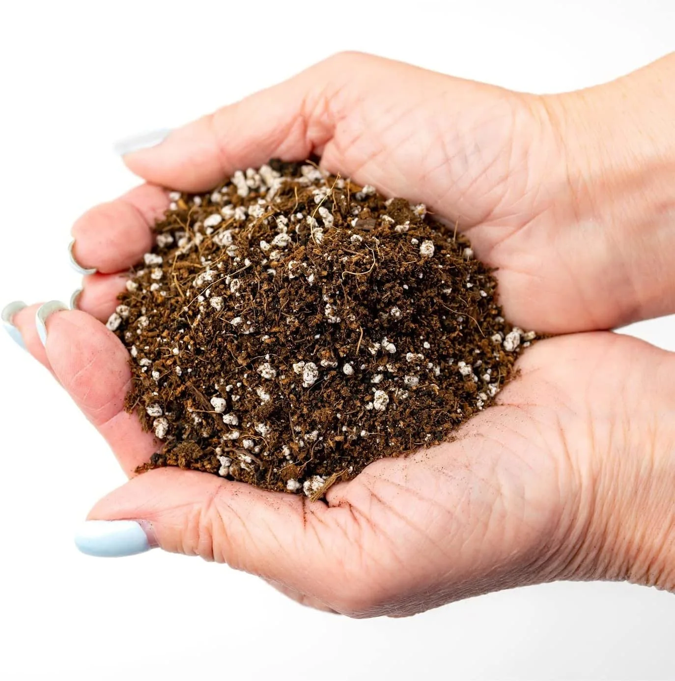 Organic Premium Potting All Purpose Soil - Seed Starter Soil for Leafy Greens, Tomatoes and Other Seedlings, Seeds and Starts - (2 Quart Bag)