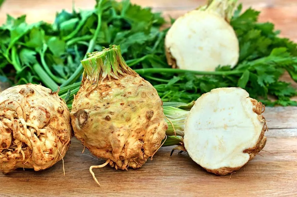 Celeriac Giant Prague Select: 100-1000 - 5000 Seeds Biennial OP Large Smooth Hardy Shelf Life (5000 Seeds)