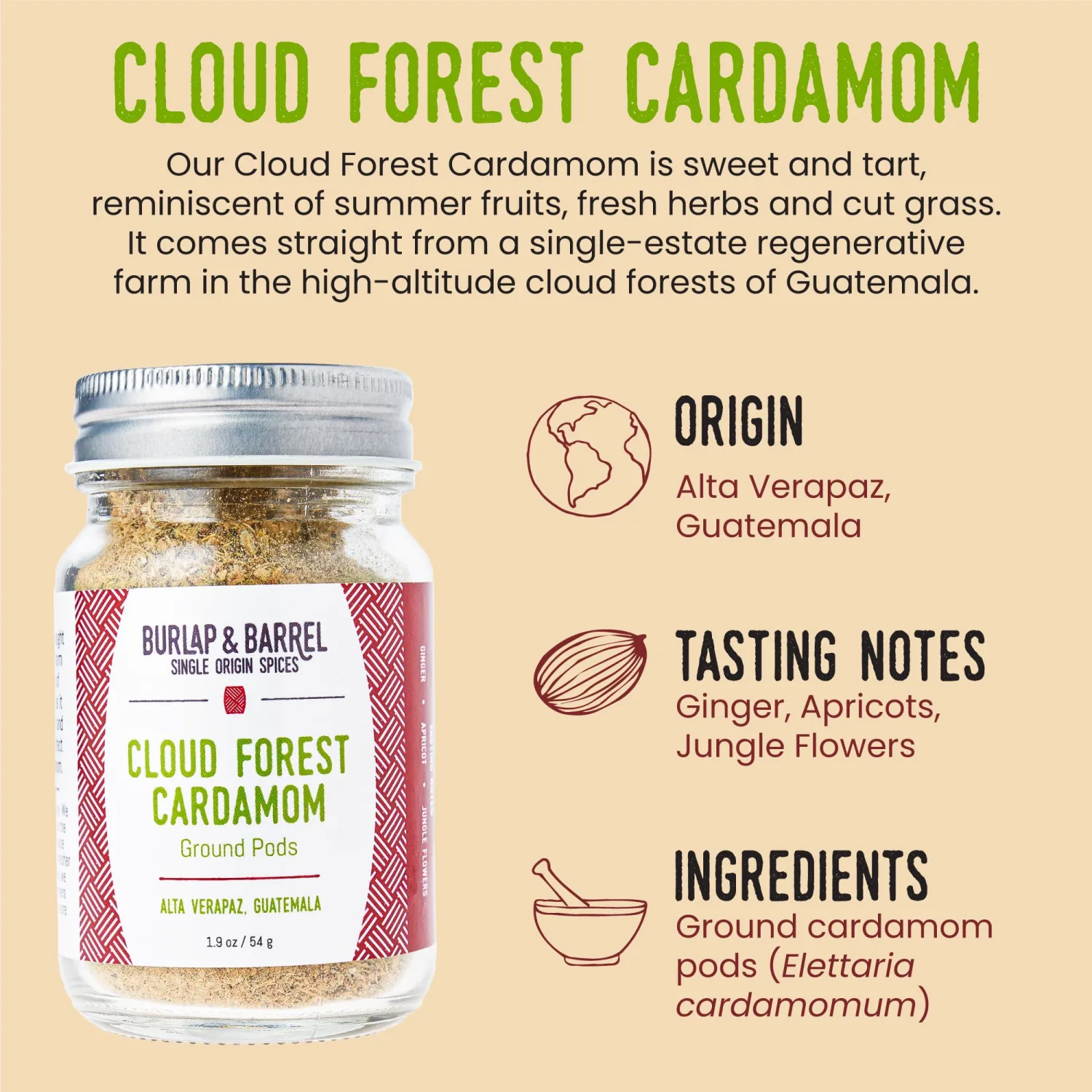 Burlap & Barrel Cloud Forest Cardamom – Sweet & Tart Cardamom Pods with Notes of Summer Fruits & Fresh Herbs – Spice & Powder – As Seen On Shark Tank -1.9oz Glass Jar