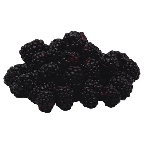 DRISCOLL Blackberries, 6 OZ