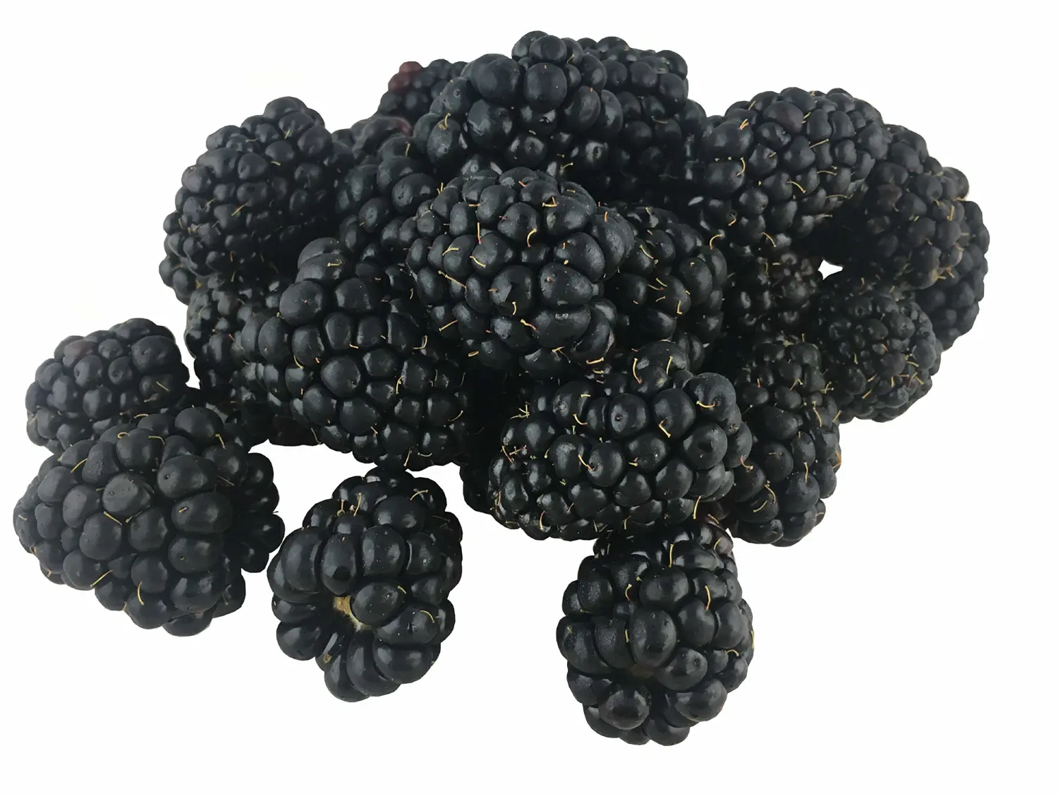 DRISCOLL Blackberries, 6 OZ