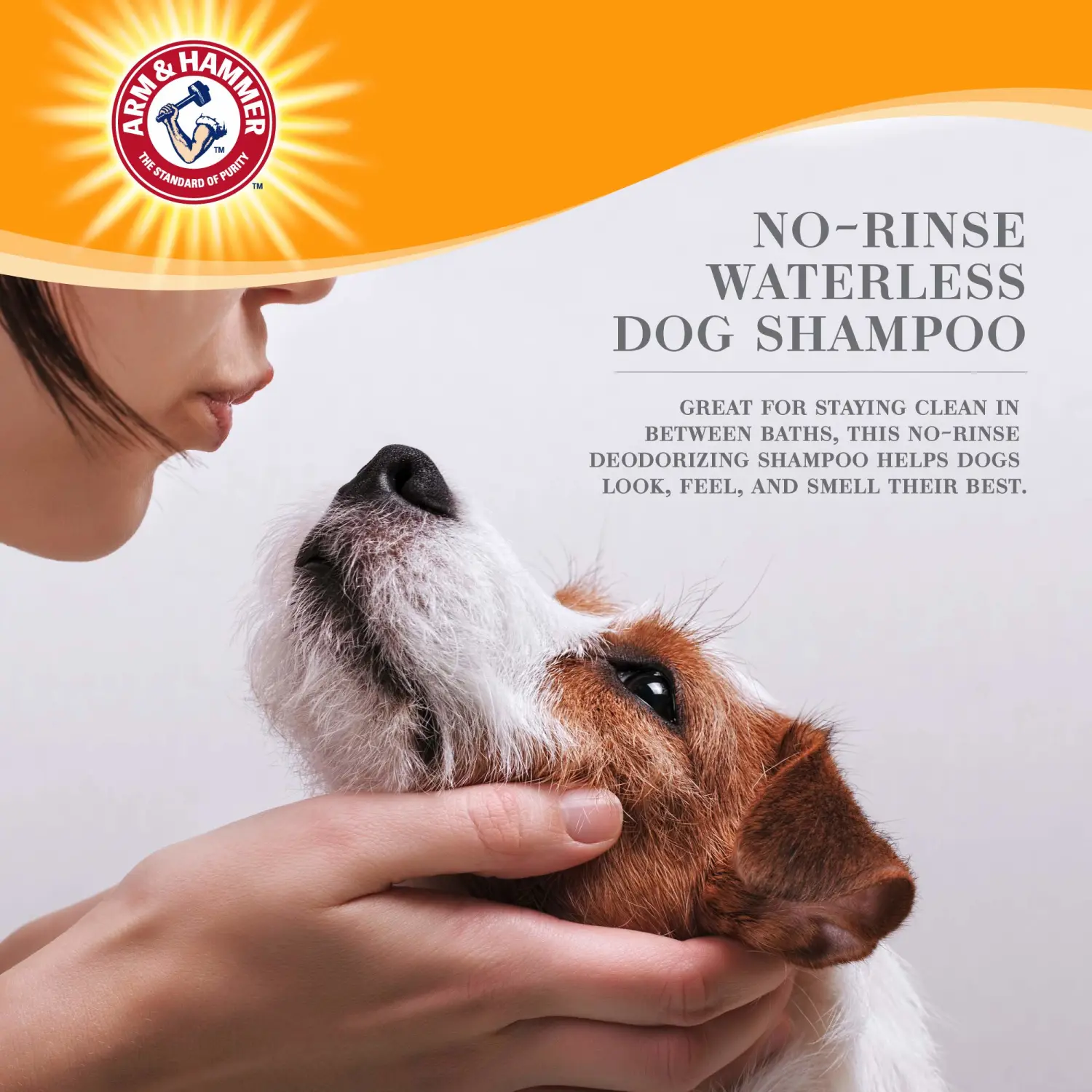 Arm & Hammer for Pets Ultra Fresh Dog Deodorizing Foam, Juniper Mist Scent - No Rinse Waterless Dog Shampoo for Smelly Dogs, Pet Deodorizer, Bathing Supplies, 8 Fl Oz