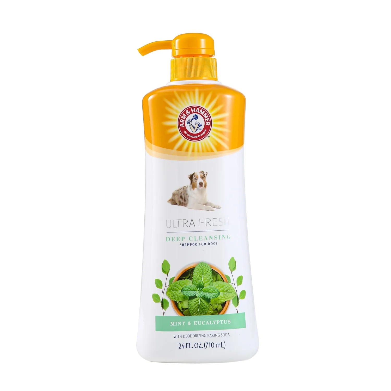 Arm & Hammer for Pets Ultra Fresh Deep Cleansing Dog Shampoo With Charcoal & Rosemary, Value Size 24oz | Great Smelling Pet Grooming and Bathing Supplies, Puppy Wash