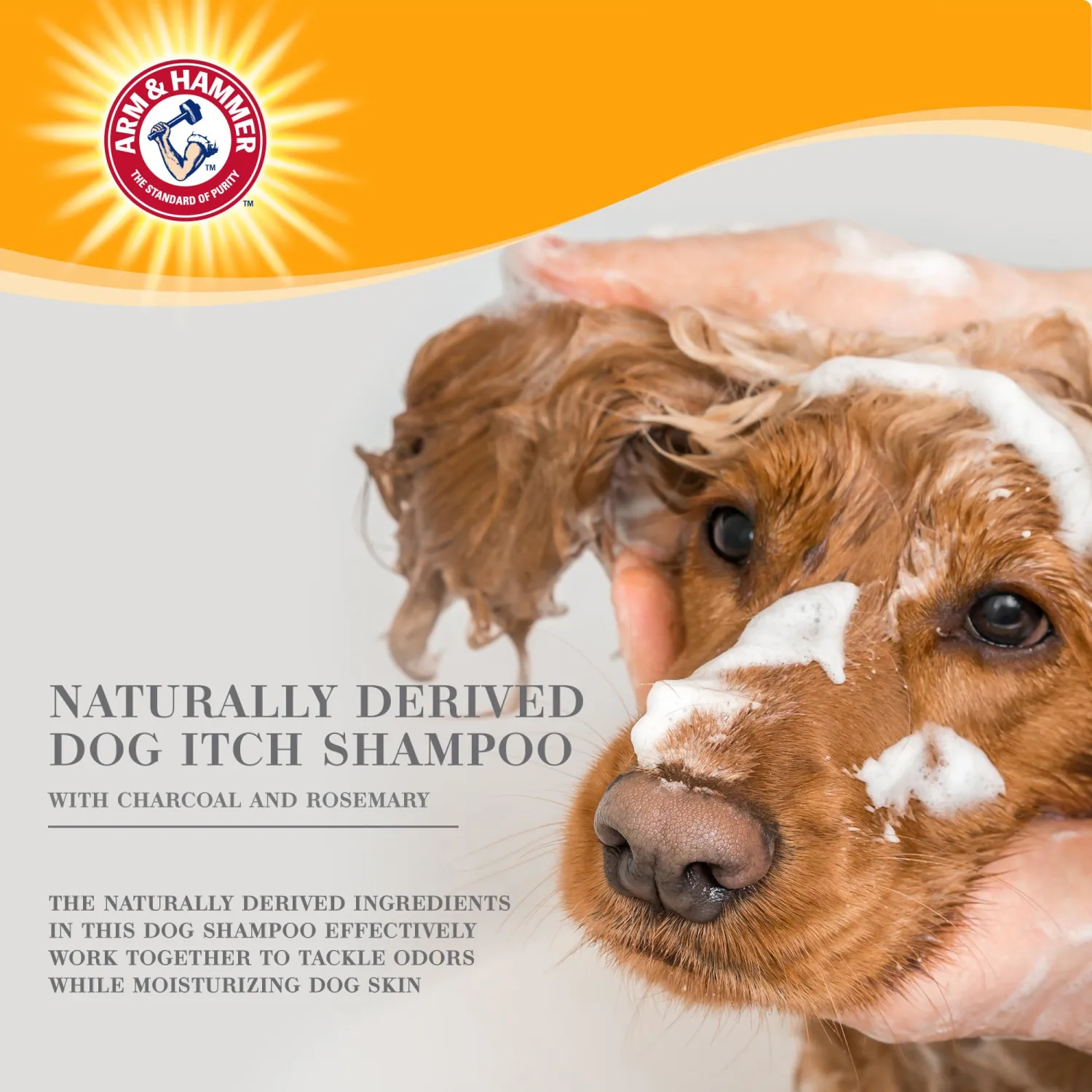 Arm & Hammer for Pets Ultra Fresh Deep Cleansing Dog Shampoo With Charcoal & Rosemary, Value Size 24oz | Great Smelling Pet Grooming and Bathing Supplies, Puppy Wash