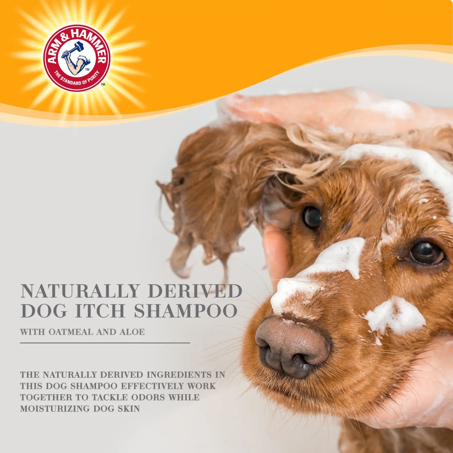 Arm & Hammer for Pets Ultra Fresh Itch Relief Shampoo With Oatmeal & Aloe Value Size With Pump 24oz | Great Smelling Dog Grooming Supplies, Bathing Supplies, Wash, Puppy Shampoo, Pet Shampoo