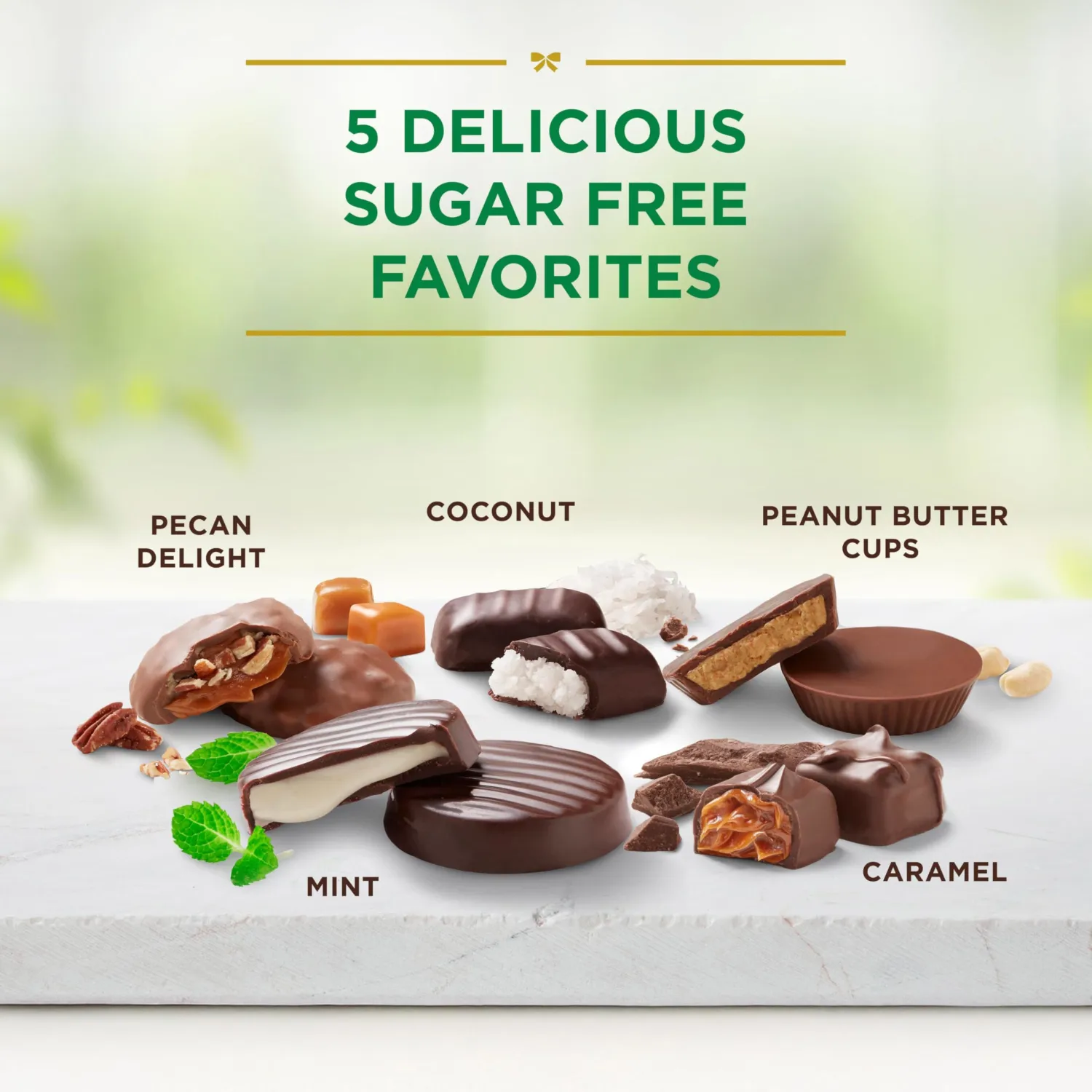 RUSSELL STOVER Sugar Free Assorted Chocolate Candy, 15.7 oz. bag - Milk and Dark Sugar Free Chocolate