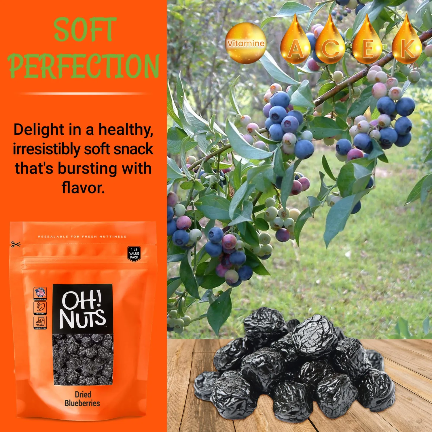 Oh! Nuts Dried Blueberries - 1 lb Dried Fruit - No Sugar Added - Dehydrated Fruit Bites - Packed in New York Zip-Seal Bag for Exceptional Freshness