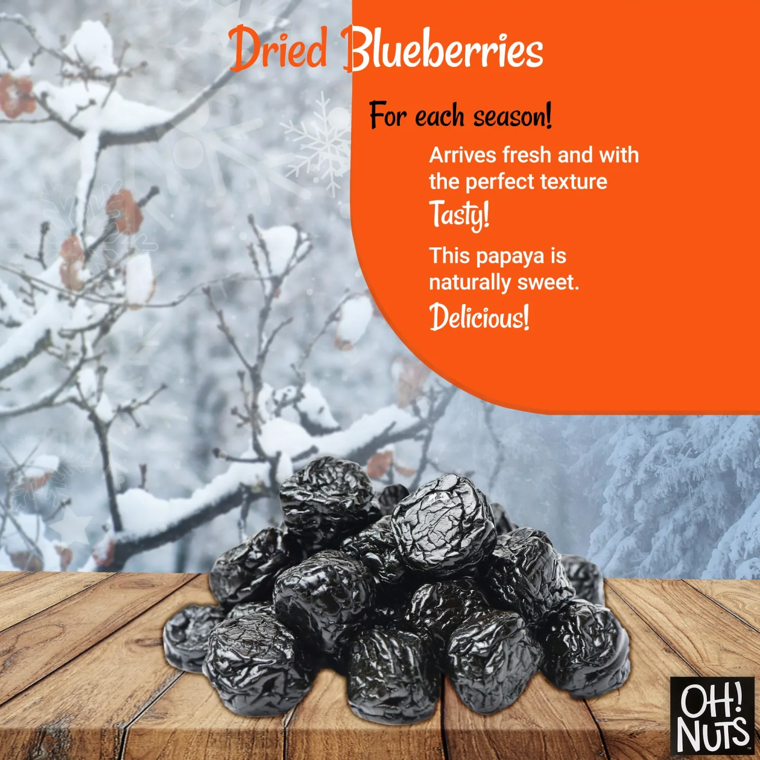 Oh! Nuts Dried Blueberries - 1 lb Dried Fruit - No Sugar Added - Dehydrated Fruit Bites - Packed in New York Zip-Seal Bag for Exceptional Freshness