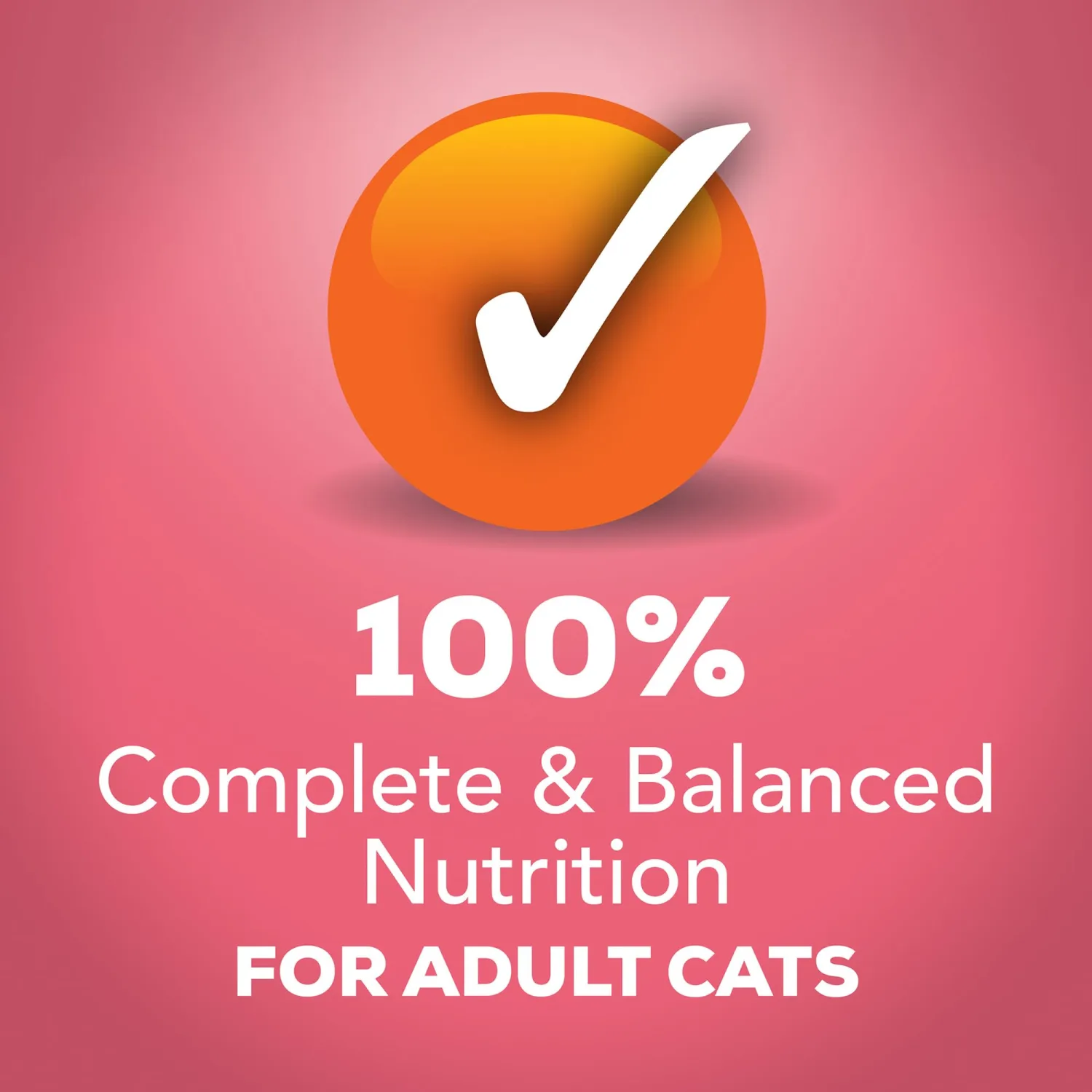 Purina Friskies Extra Gravy Wet Cat Food Chunky With Salmon in Savory Gravy - (Pack of 24) 5.5 oz. Cans