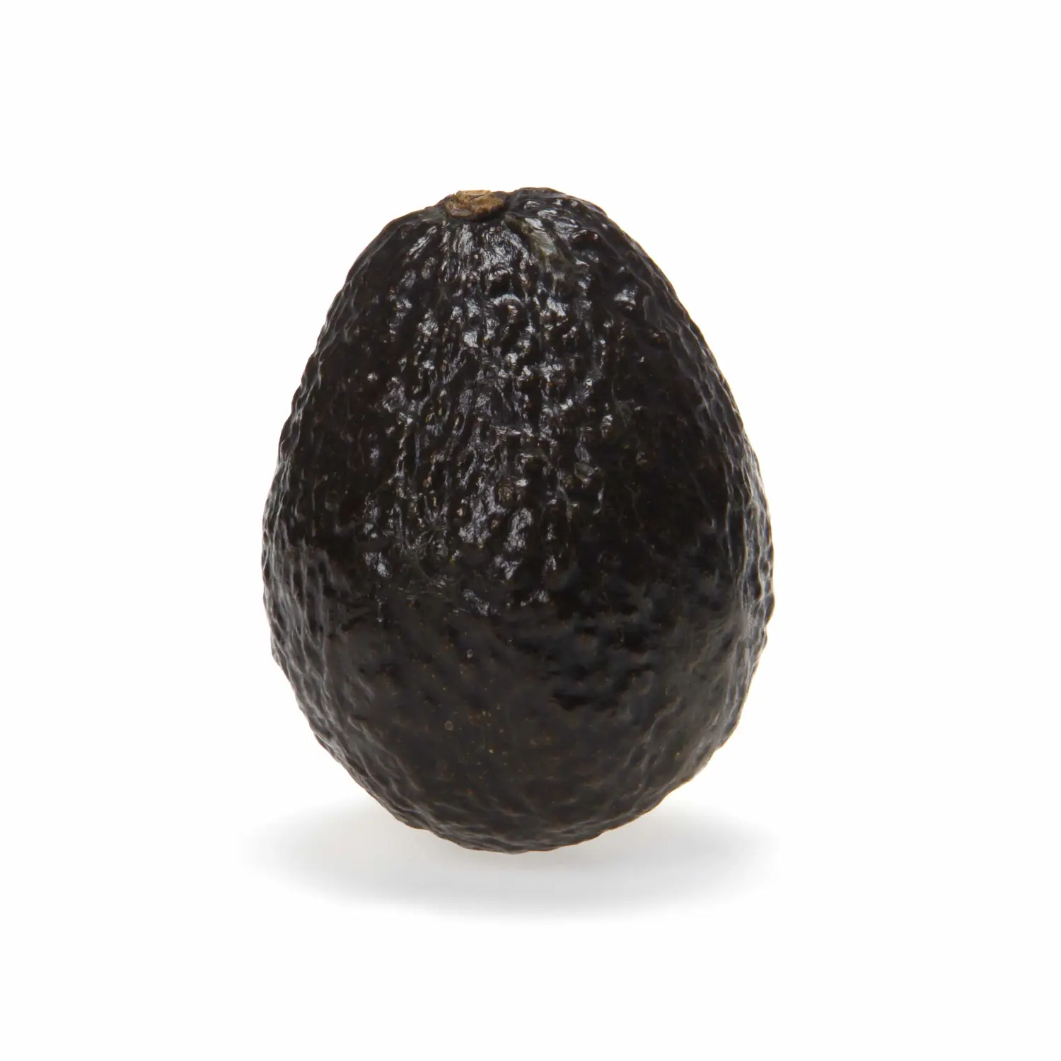 Large Hass Avocado