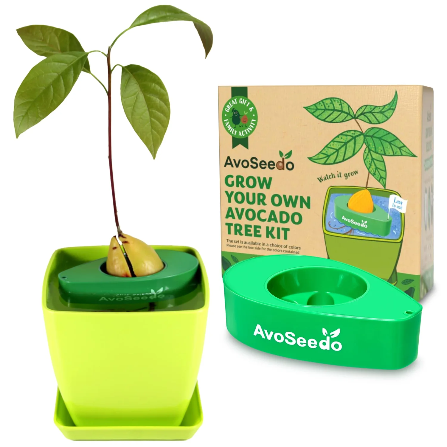 Avocado Tree Growing Kit with Pot, Green, Practical Gifts for Women, Mom, Sister, Best Friend & Kids, Plant Indoors with Novelty Pit Grower Boat & Kitchen Garden Seed Starter