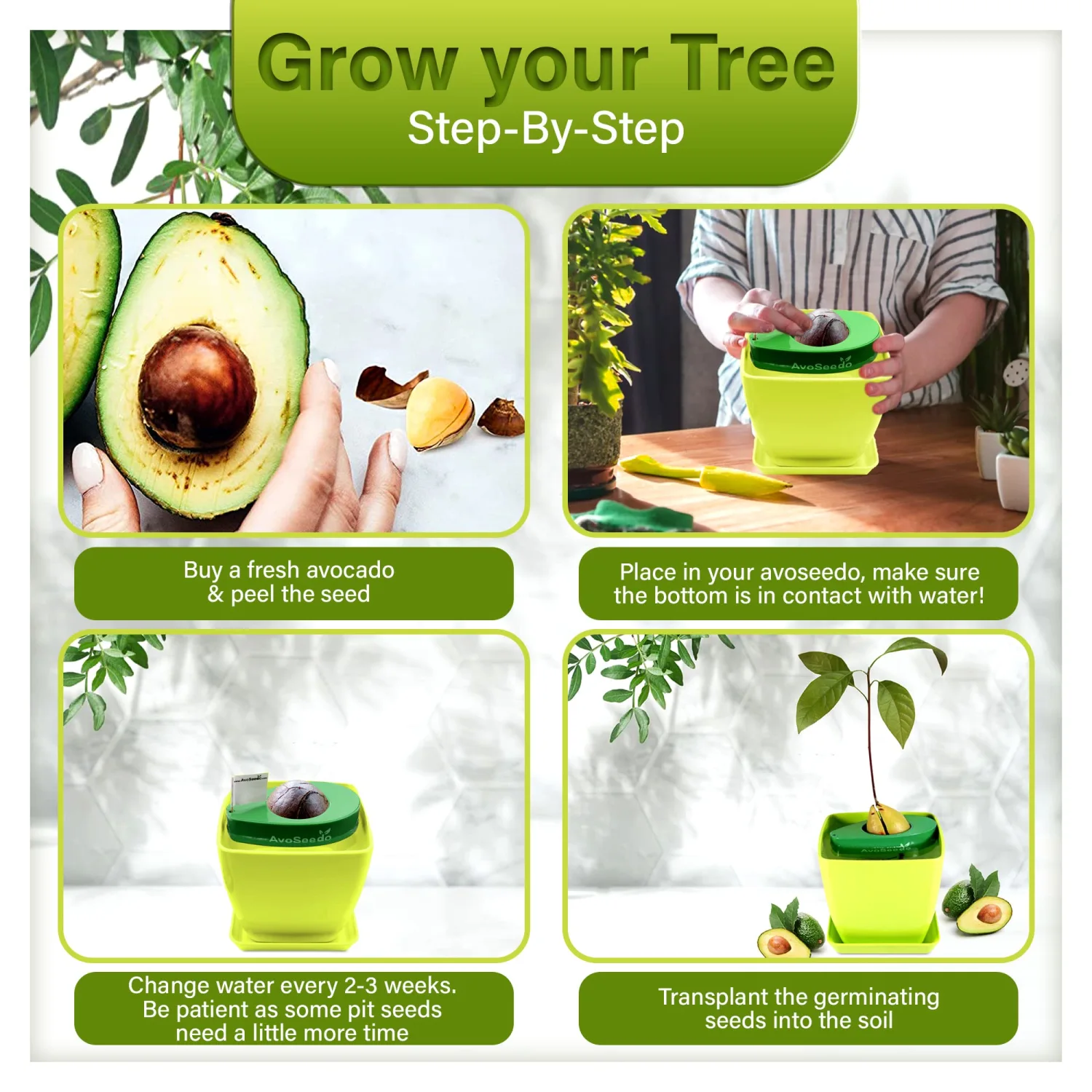 Avocado Tree Growing Kit with Pot, Green, Practical Gifts for Women, Mom, Sister, Best Friend & Kids, Plant Indoors with Novelty Pit Grower Boat & Kitchen Garden Seed Starter
