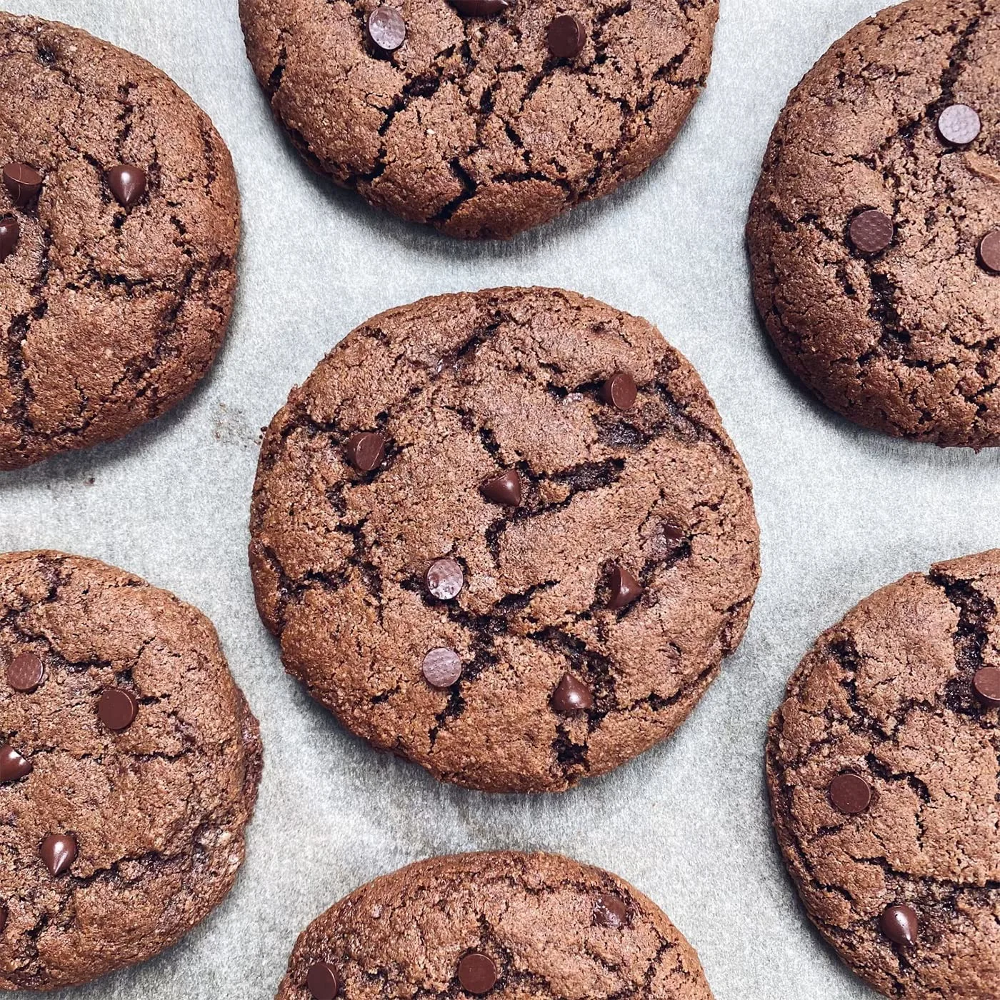 Stellar Eats Double Chocolate Cookie Baking Mix, 10.2 oz, 1 Pack - Grain Free, Gluten Free, Dairy Free, Plant Based, Paleo Friendly