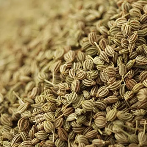 Celery Seed, Utah Tall, 100 Seeds, Heirloom, Non GMO, for Gardening