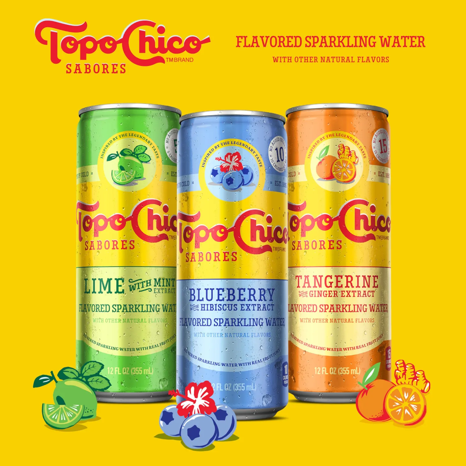 Topo Chico Sabores Tangerine with Ginger Extract 12oz 8pk