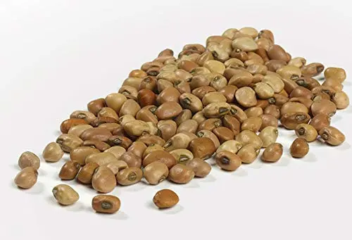 Camellia Brand Dried Field Peas, 1 Pound (Pack of 2)