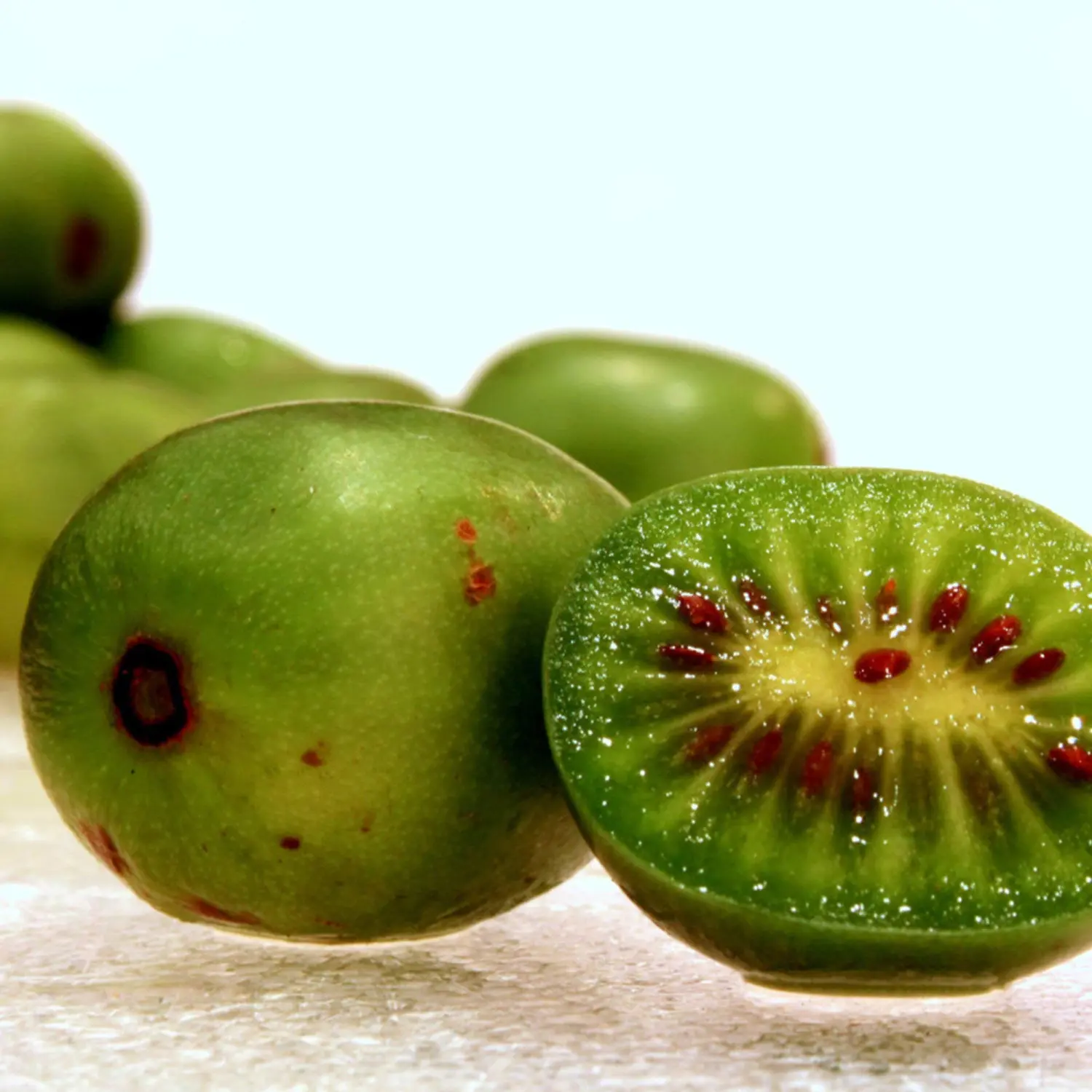 Hardy Kiwi Seeds (Actinidia arguta) Packet of 10 Seeds