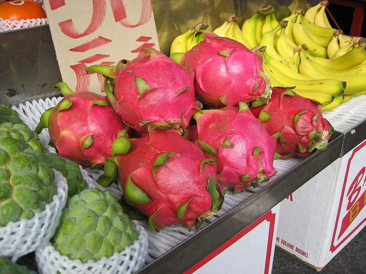 Fruit Seeds for Planting (100 Dragon Fruit Seeds)