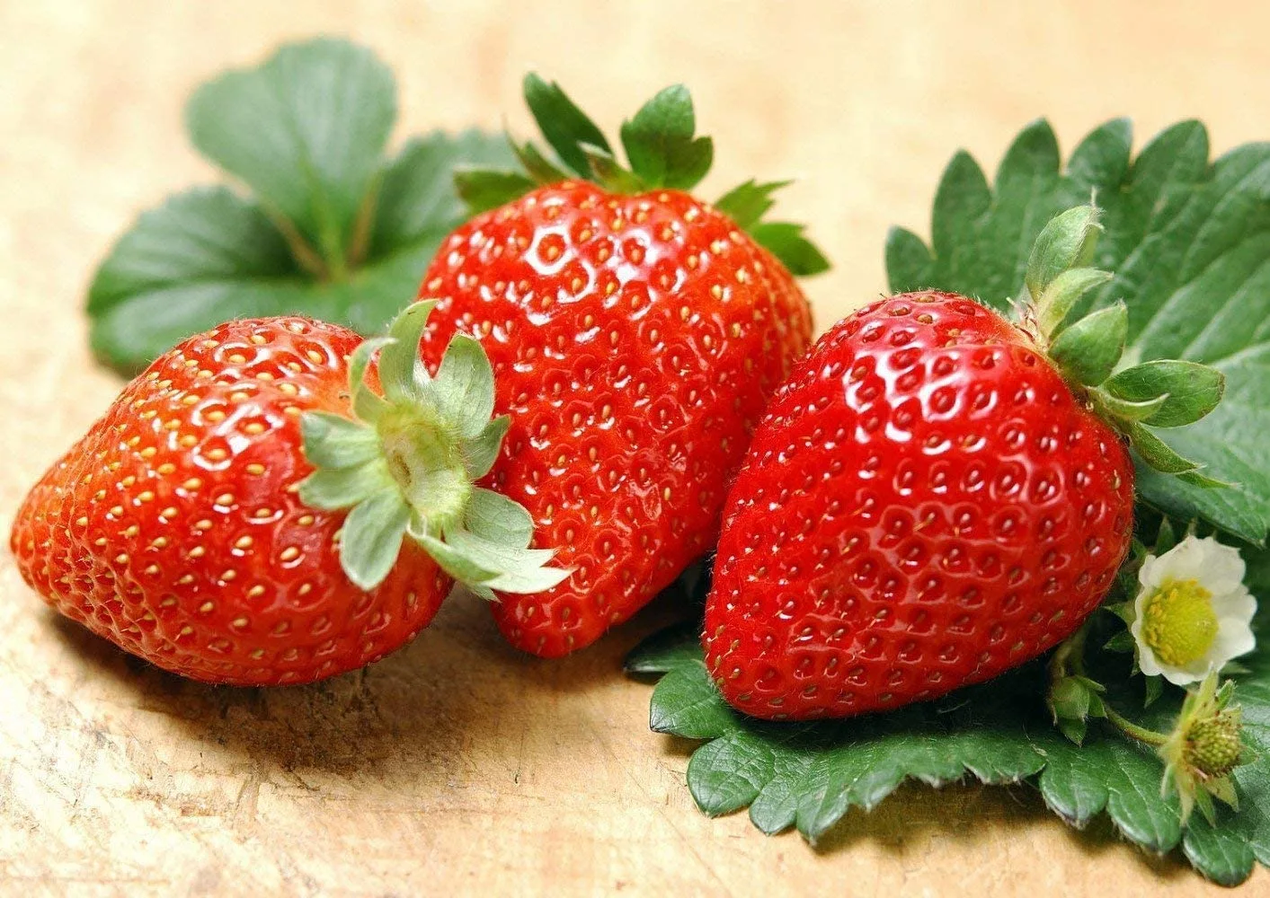 Fruit Seeds for Planting (100 Red Strawberry)