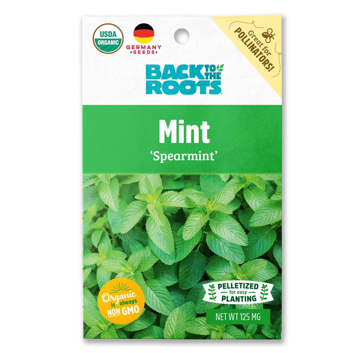 Seed Packet - Spearmint