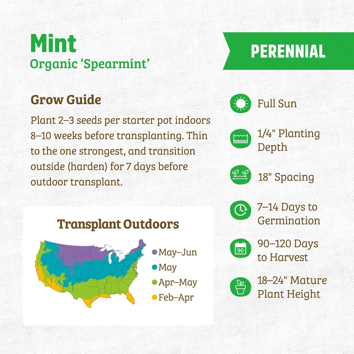 Seed Packet - Spearmint