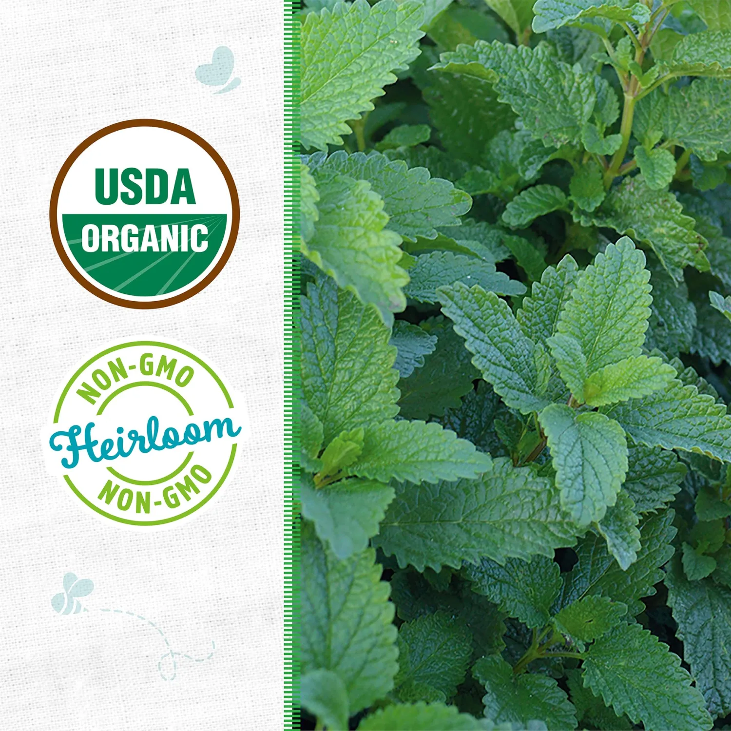 Back to the Roots - 100% Organic Seed Packet - Lemon Balm 140mg