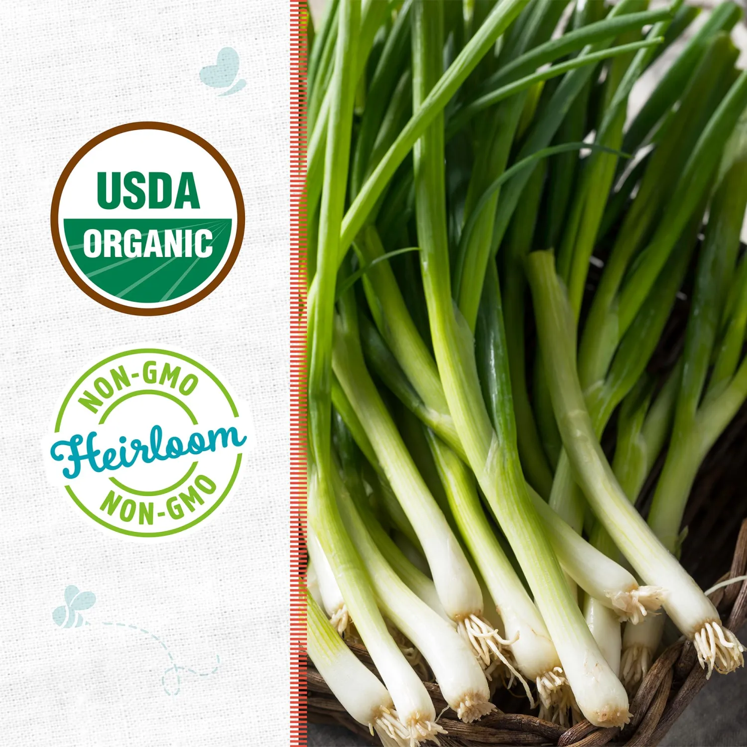 Seed Packet - Onion 'Evergreen Bunching'