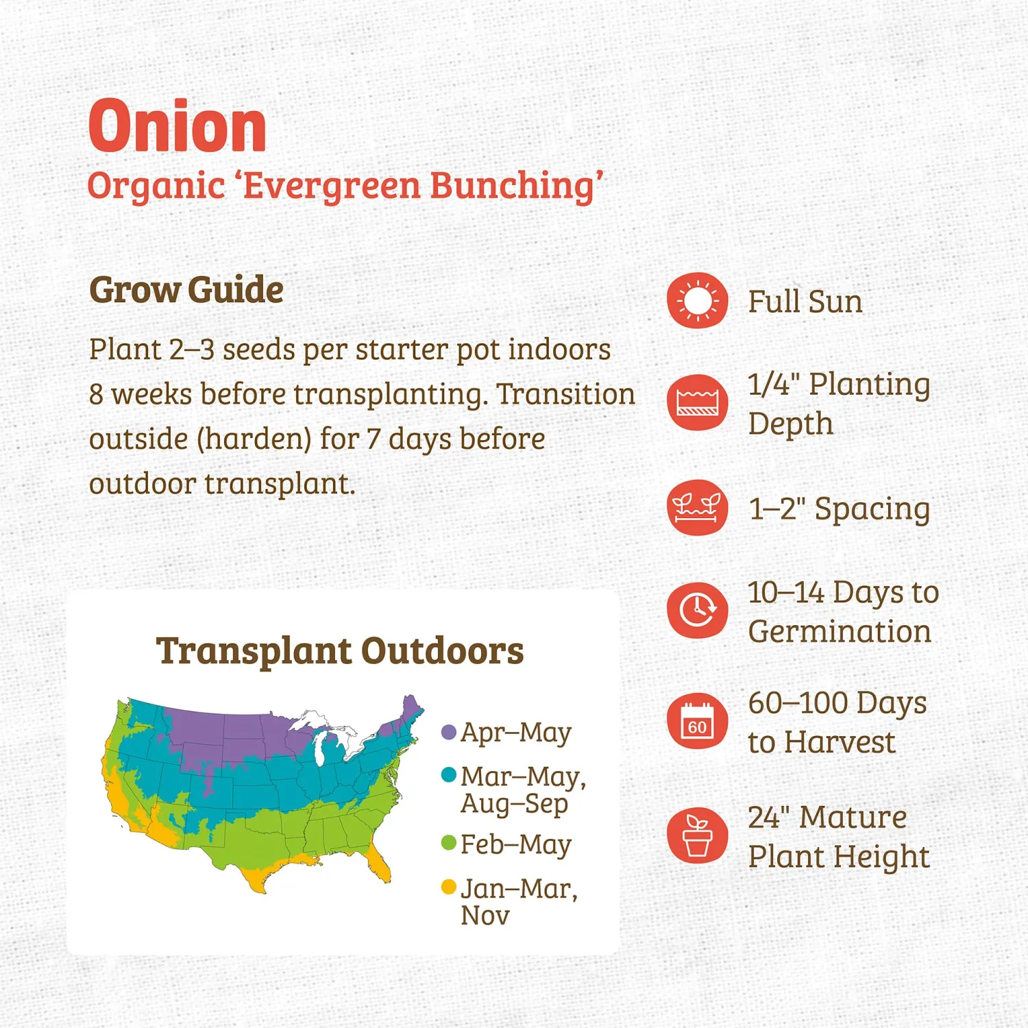 Seed Packet - Onion 'Evergreen Bunching'