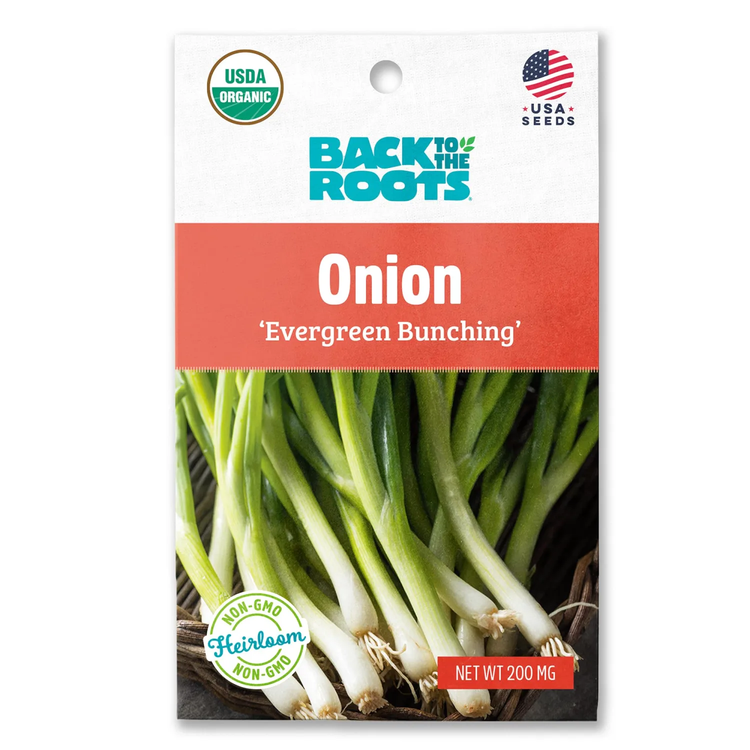Seed Packet - Onion 'Evergreen Bunching'
