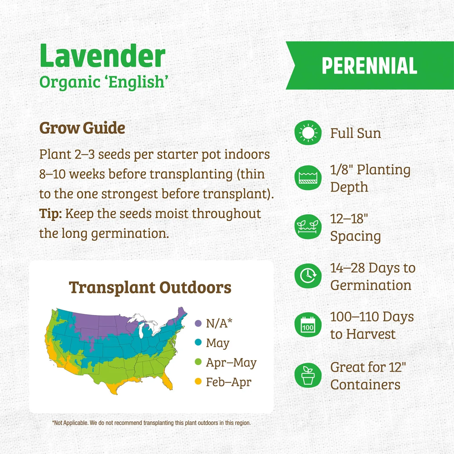 Seed Packet - Lavender 'English'
