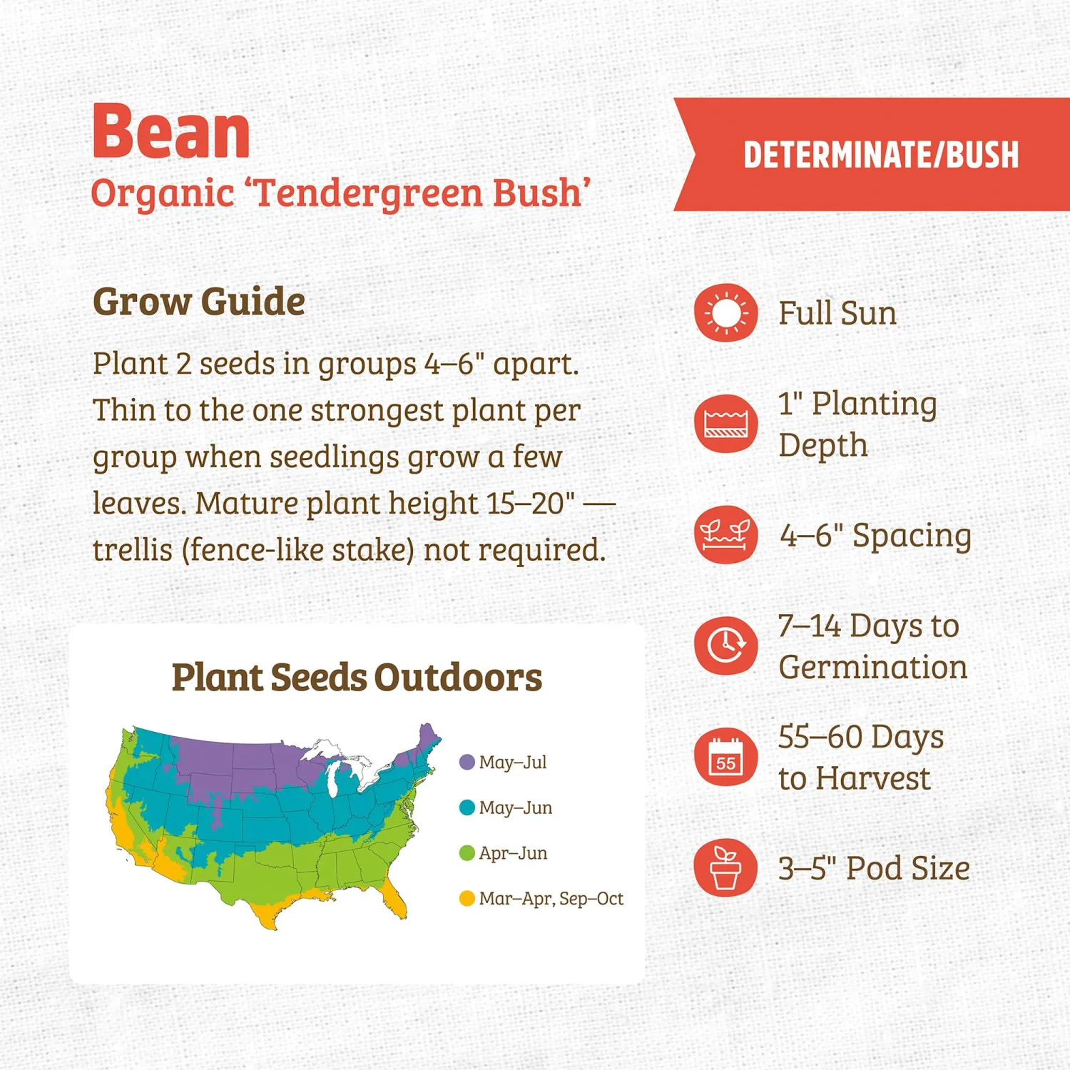 Back to the Roots - 100% Organic Seed Packet - Bean 'Tendergreen' 8.4g