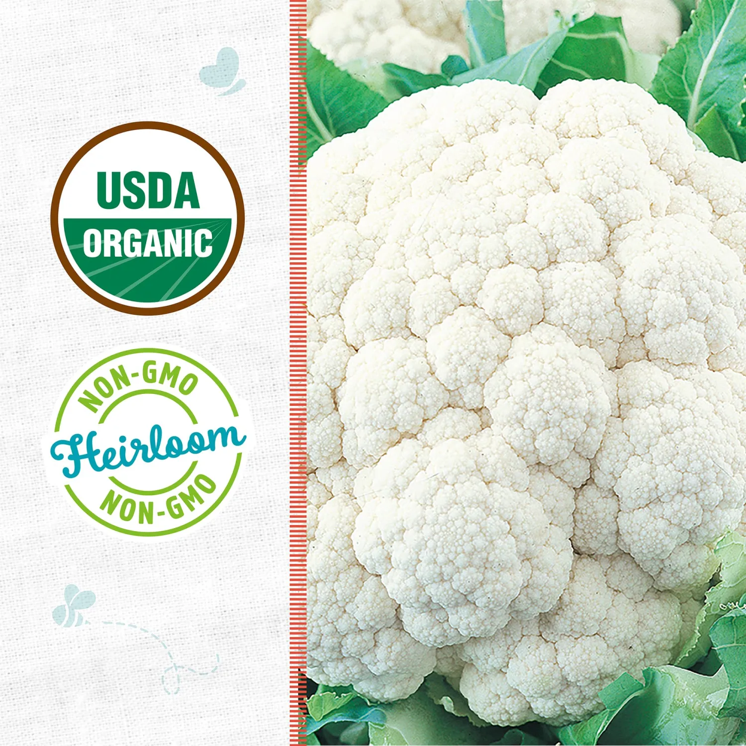 Back to the Roots - 100% Organic Seed Packet - Cauliflower 'Snowball Y' 500mg