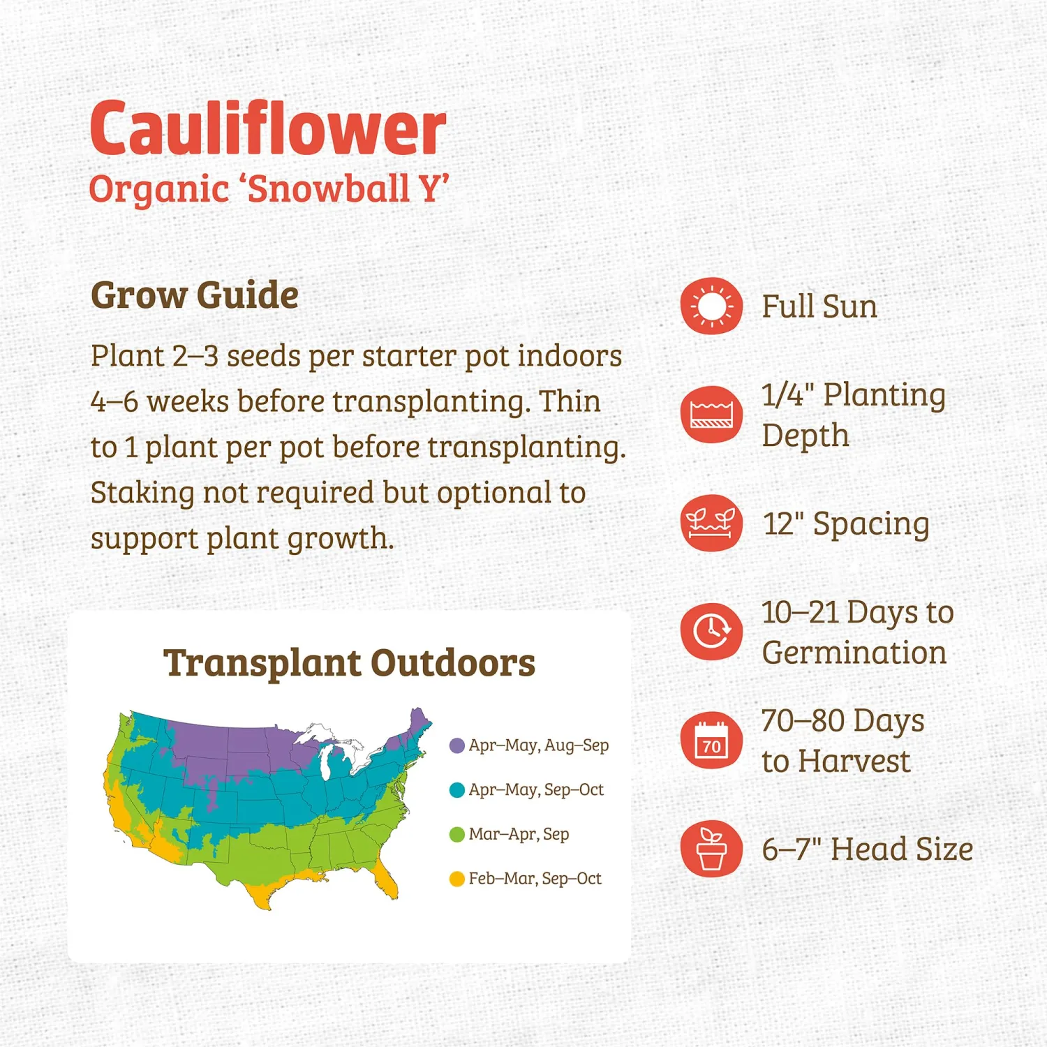 Back to the Roots - 100% Organic Seed Packet - Cauliflower 'Snowball Y' 500mg