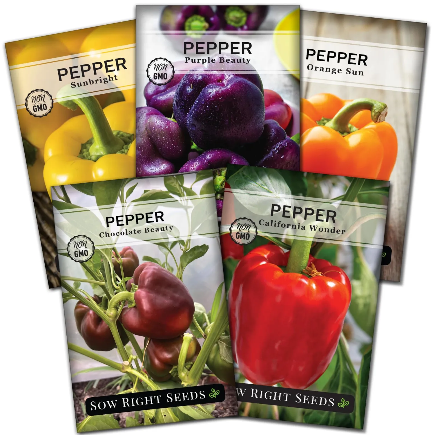 Sow Right Seeds - Sweet Bell Pepper Seed Collection for Planting a Home Garden - Red, Yellow, Purple, Orange and Chocolate Brown Bell Peppers - Non-GMO Heirloom Variety Pack Vegetable Seeds to Plant