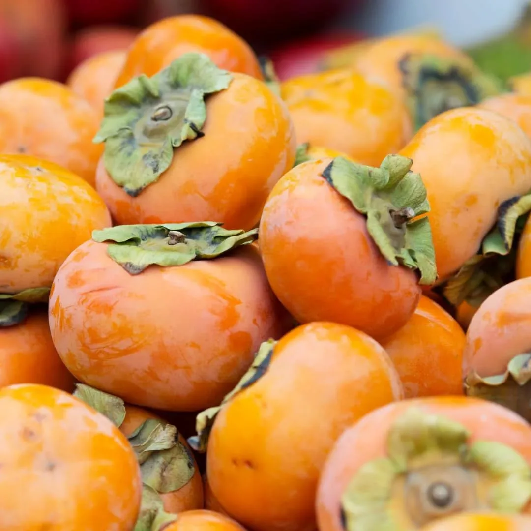 30+ Persimmon Fruit Tree Seeds for Planting Outdoors-Non GMO Exotic Diospyros Kaki Seeds Nongmo Juicy Plant for Home Gardening