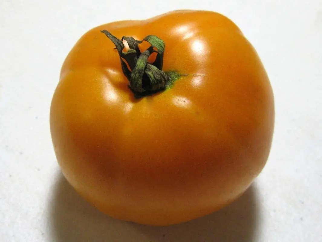 Persimmon Colored Fruit Very flavorful (10 - Seeds)