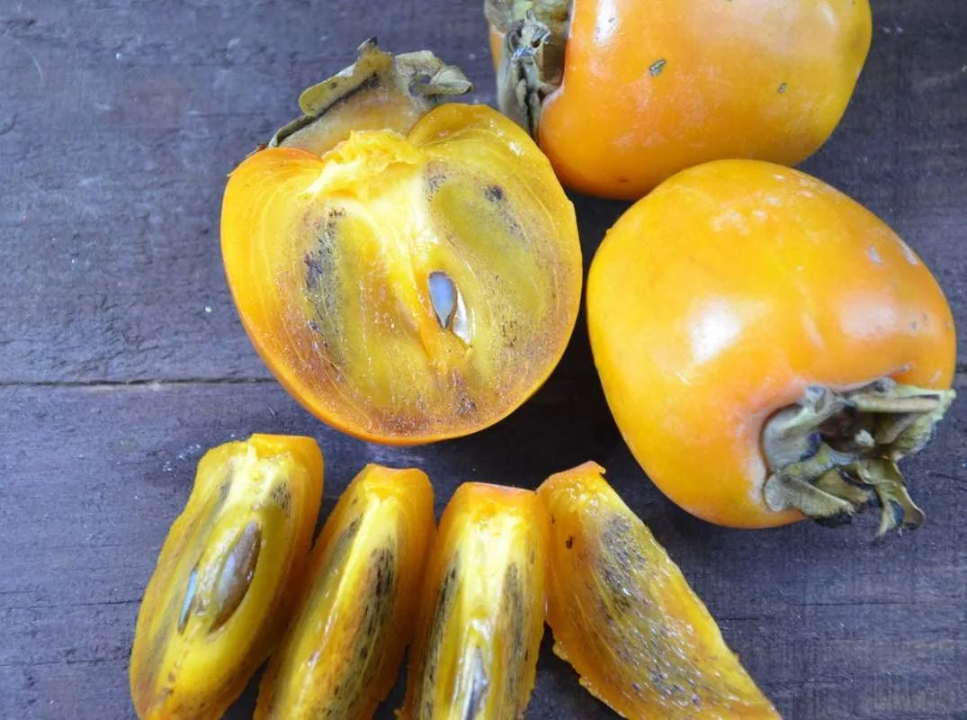 1-1000 PCS Common Persimmon Tree Seeds Diospyros Virginiana Fruit Flower 0180 (25+ Seeds)