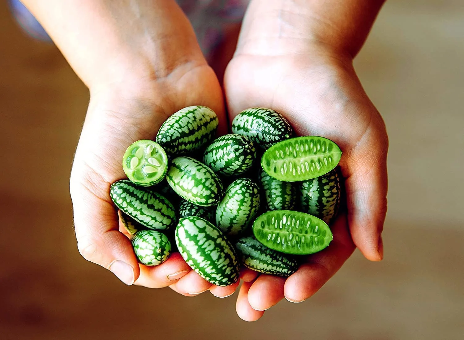 Fruit Seeds for Planting - Garden Fruit Seeds (Mouse Melon - 10 Seeds)