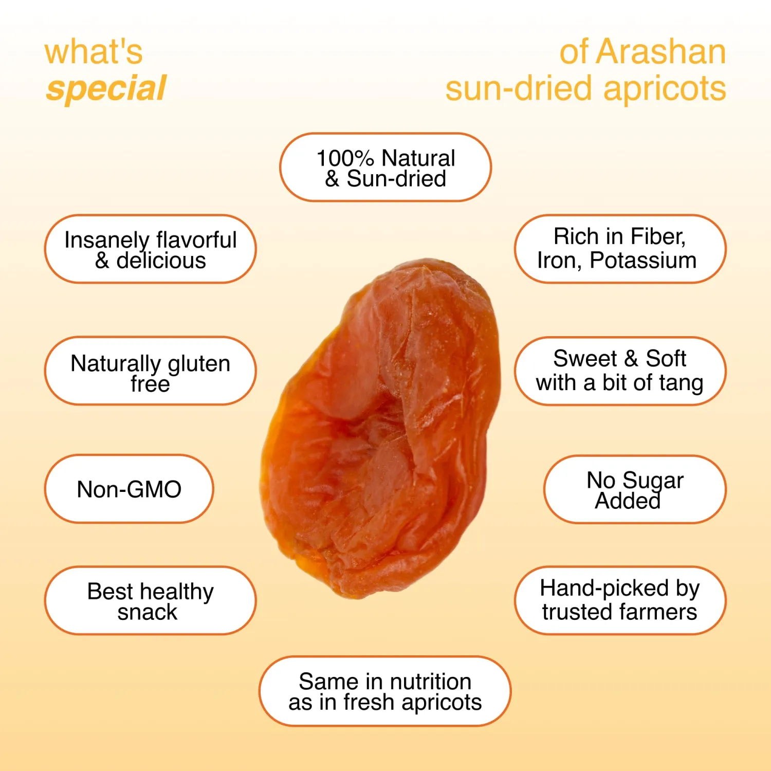 Arashan Apricots – Delicious Dried Apricot Fruit, MOST Delectable Dry Apricot In The World! Grown In The Ferghana Valley In Kyrgyzstan – Apricots Dried | Sundried, Pitted, No Sugar Added (1 LB)