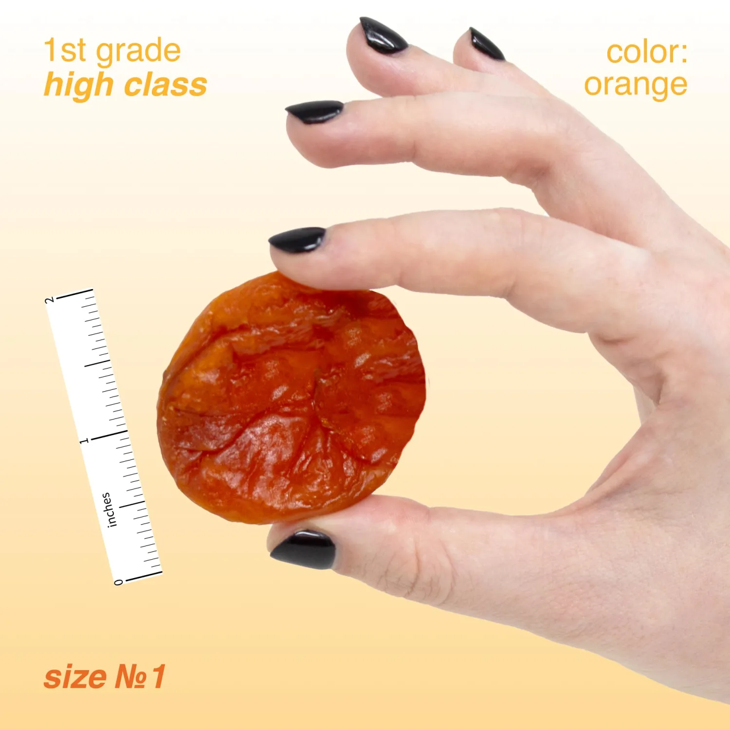 Arashan Apricots – Delicious Dried Apricot Fruit, MOST Delectable Dry Apricot In The World! Grown In The Ferghana Valley In Kyrgyzstan – Apricots Dried | Sundried, Pitted, No Sugar Added (1 LB)