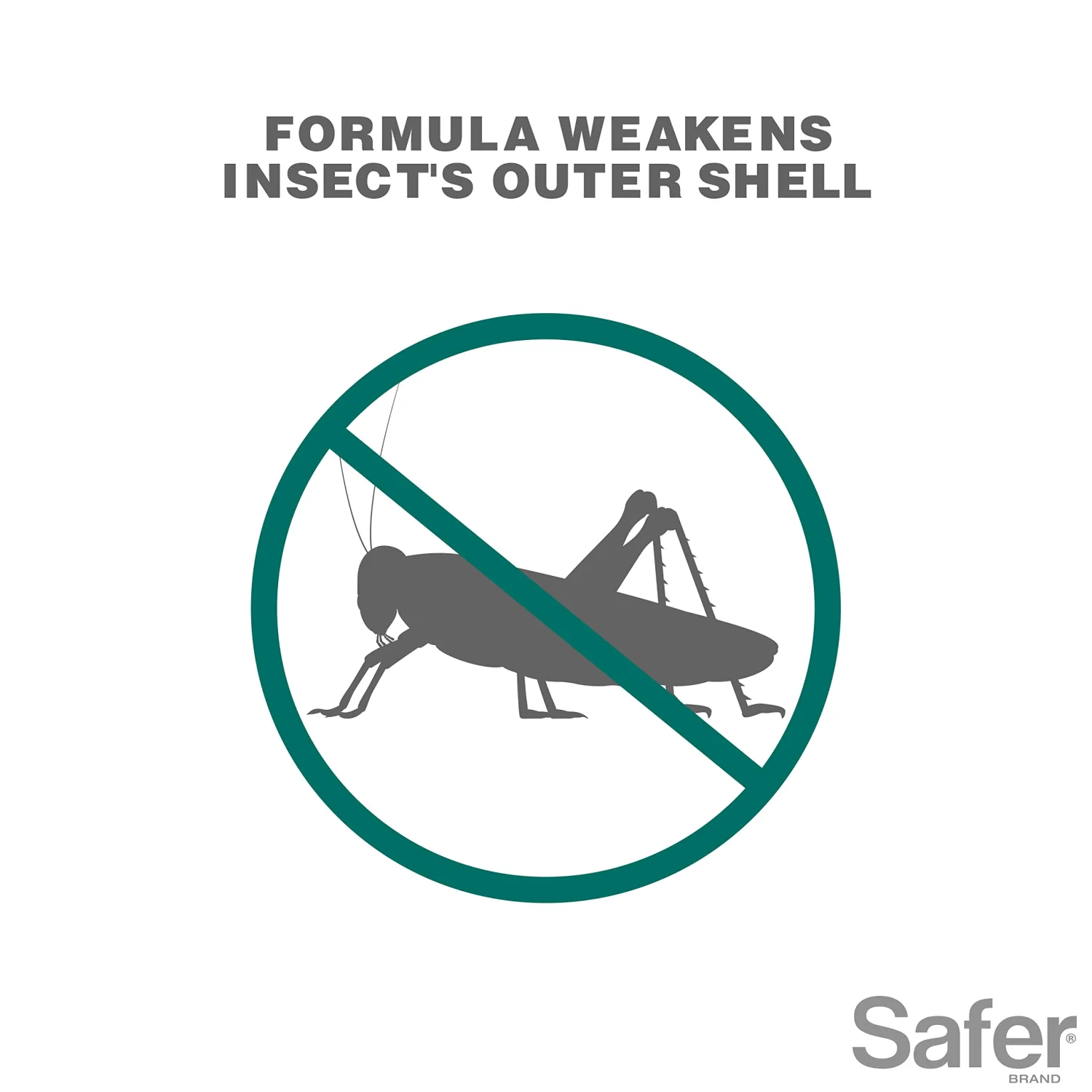 Safer 5118-6 Insect Killing Soap Concentrate - Insecticidal Soap for Plants - Kills Aphids, Whiteflies, Thrips, Spider Mites, and More - OMRI Listed for Organic Use