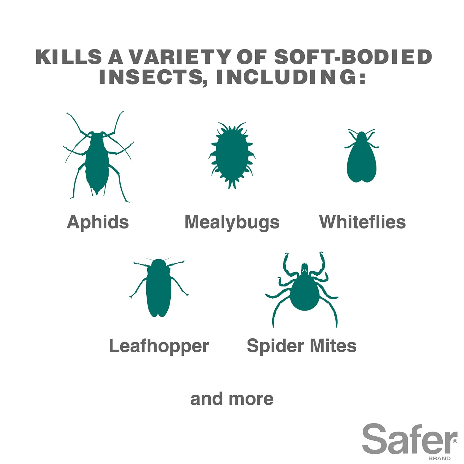 Safer 5118-6 Insect Killing Soap Concentrate - Insecticidal Soap for Plants - Kills Aphids, Whiteflies, Thrips, Spider Mites, and More - OMRI Listed for Organic Use