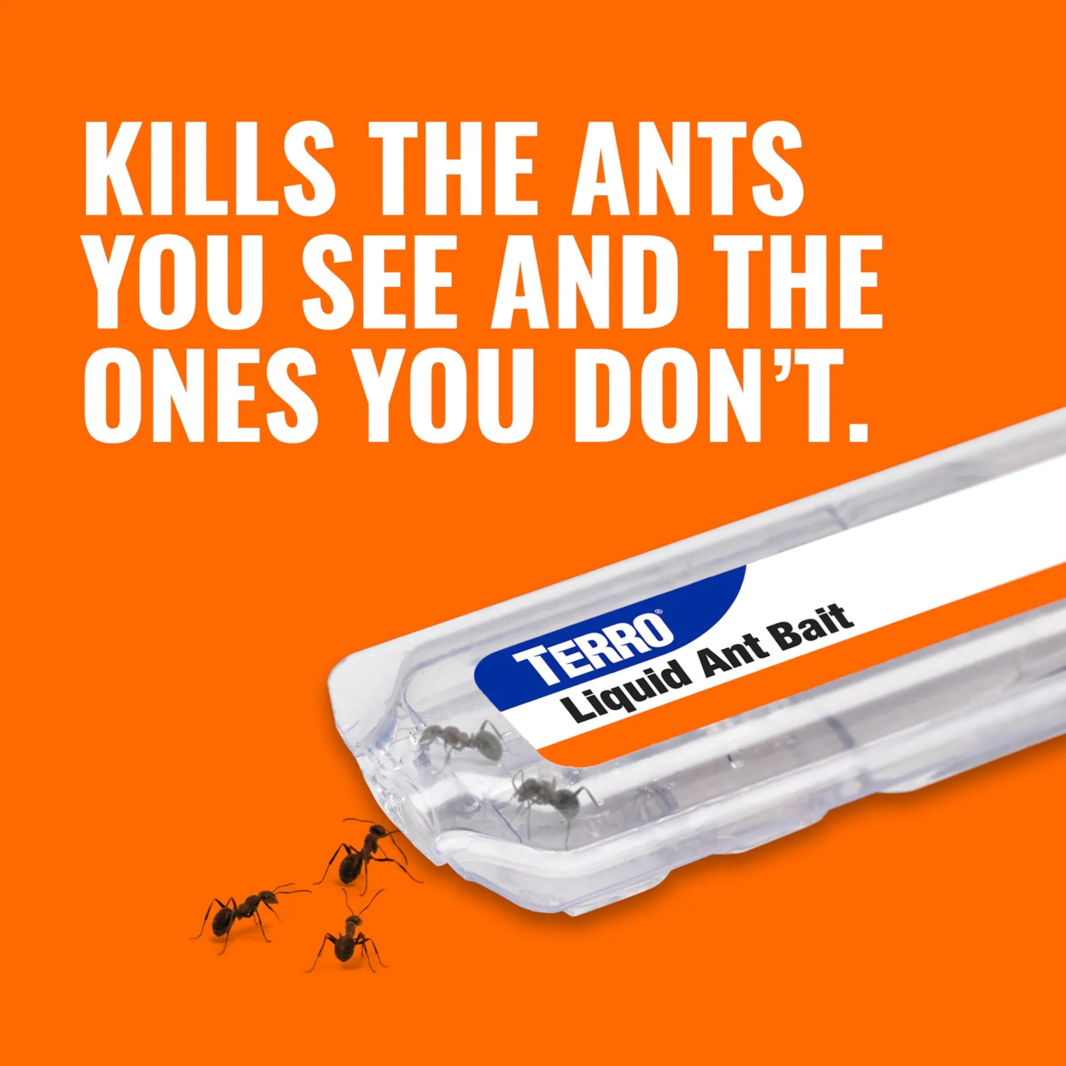 TERRO Ant Killer Bait Stations T300B - Liquid Bait to Eliminate Ants - 12 Count Stations for Effective Indoor Ant Control