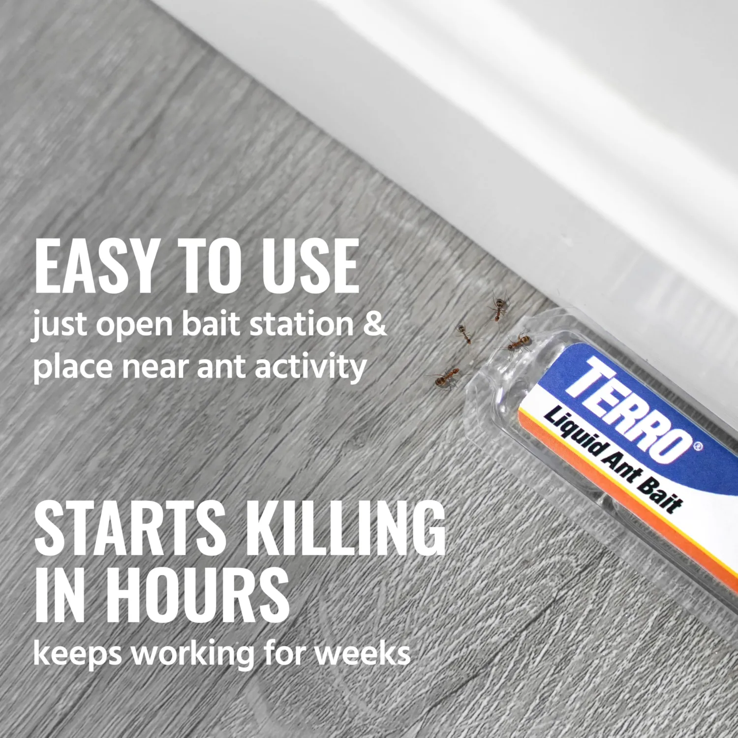 TERRO Ant Killer Bait Stations T300B - Liquid Bait to Eliminate Ants - 12 Count Stations for Effective Indoor Ant Control