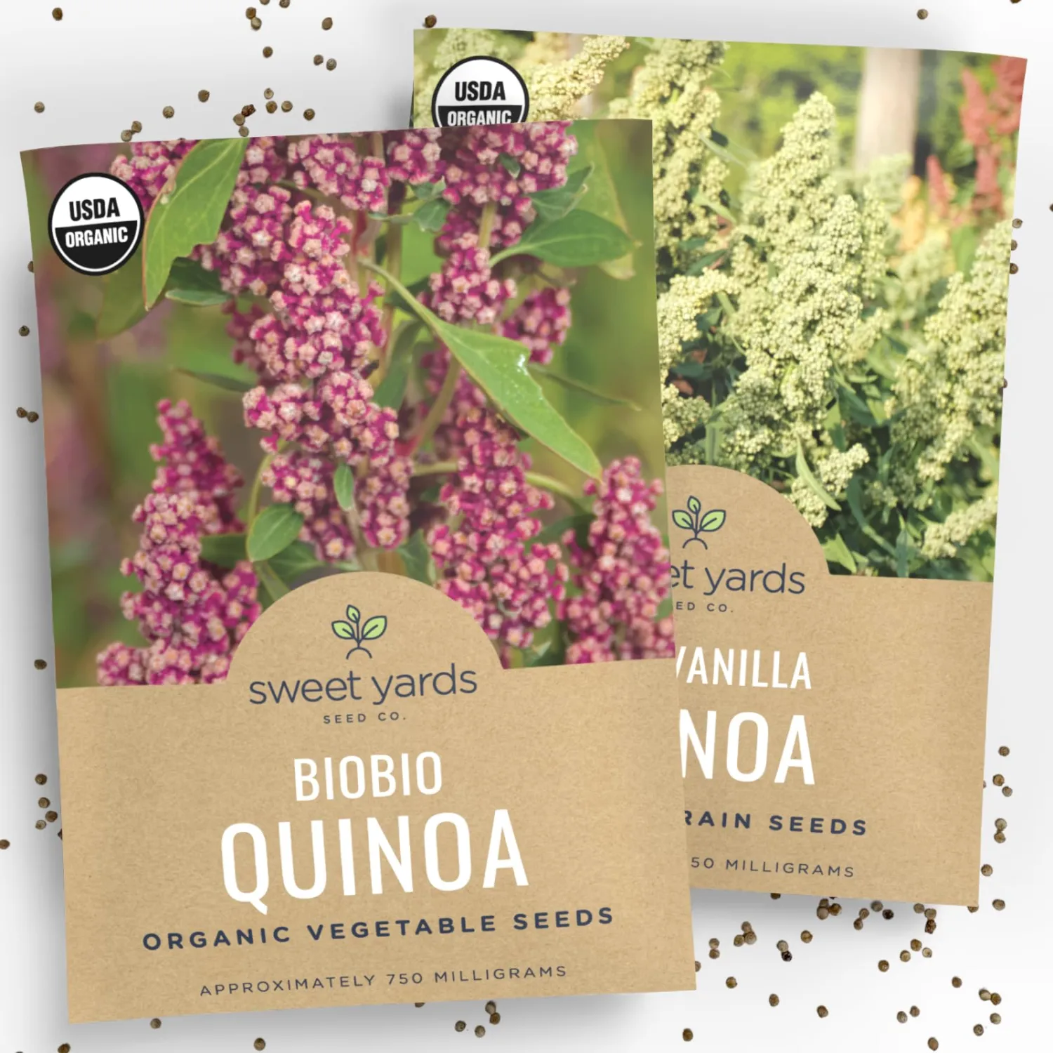 Organic Quinoa Seeds Home Garden Variety Pack - Non-GMO USDA Certified Organic Open Pollinated Heirloom USA Seed Paclets