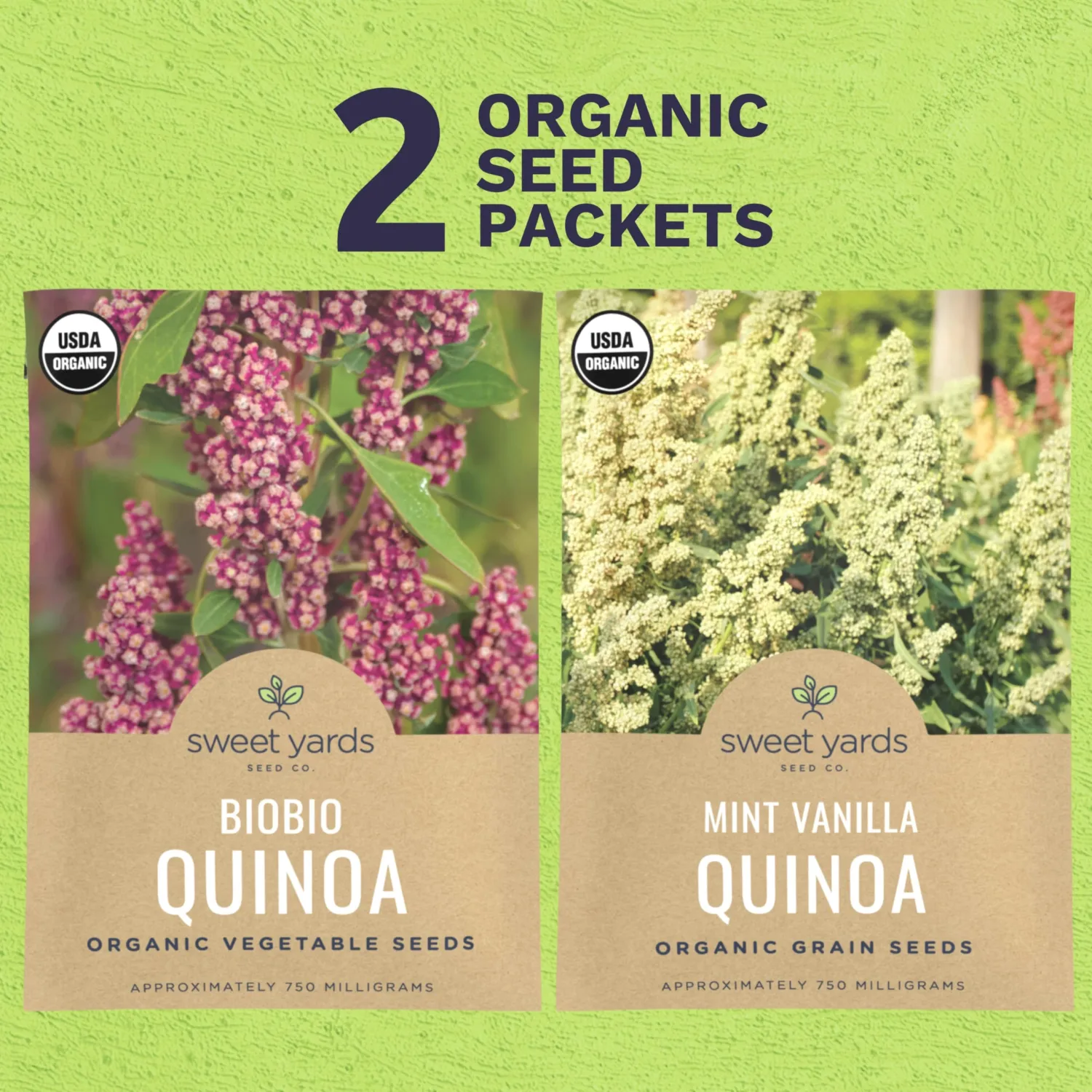 Organic Quinoa Seeds Home Garden Variety Pack - Non-GMO USDA Certified Organic Open Pollinated Heirloom USA Seed Paclets