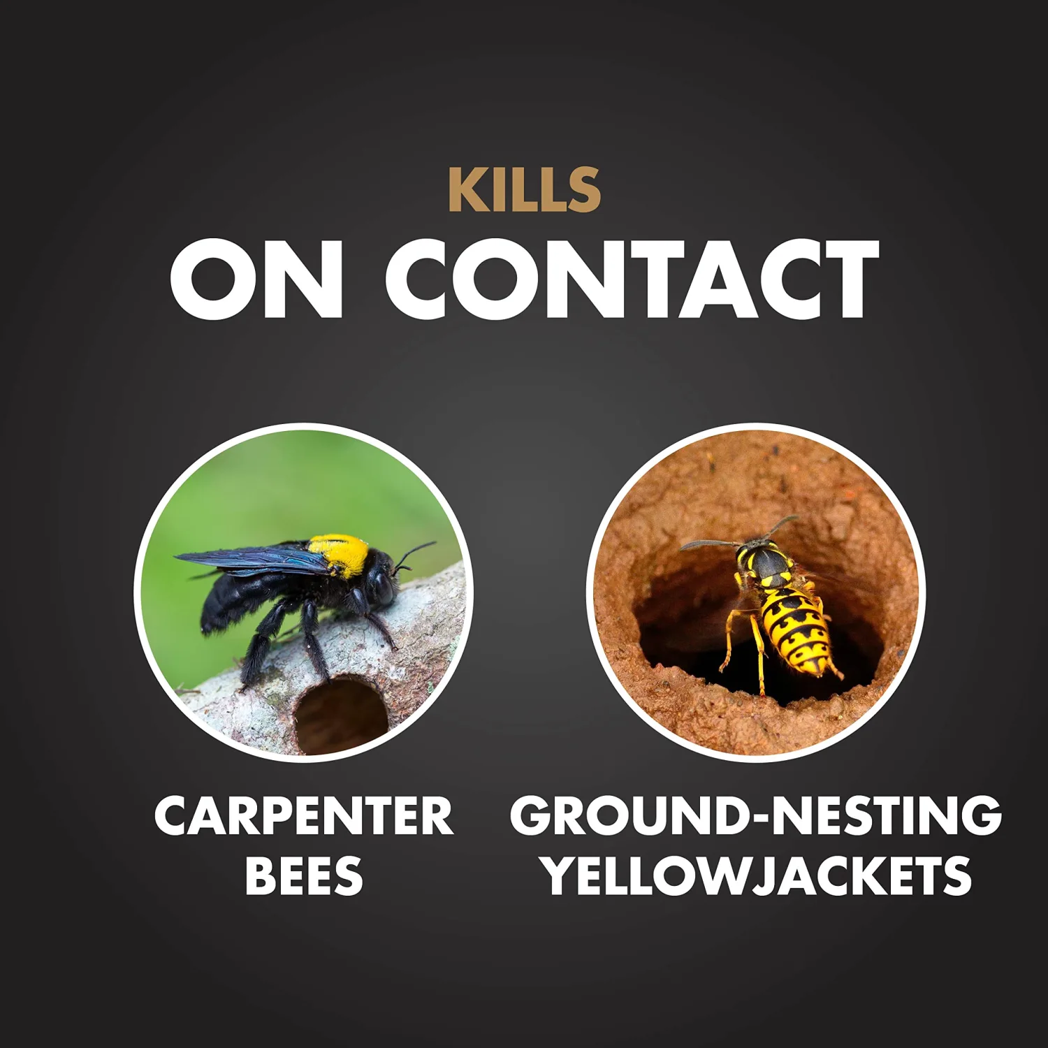 Spectracide Carpenter Bee and Ground Nesting Yellow Jacket Foaming Aerosol for Insects, 16-Ounce