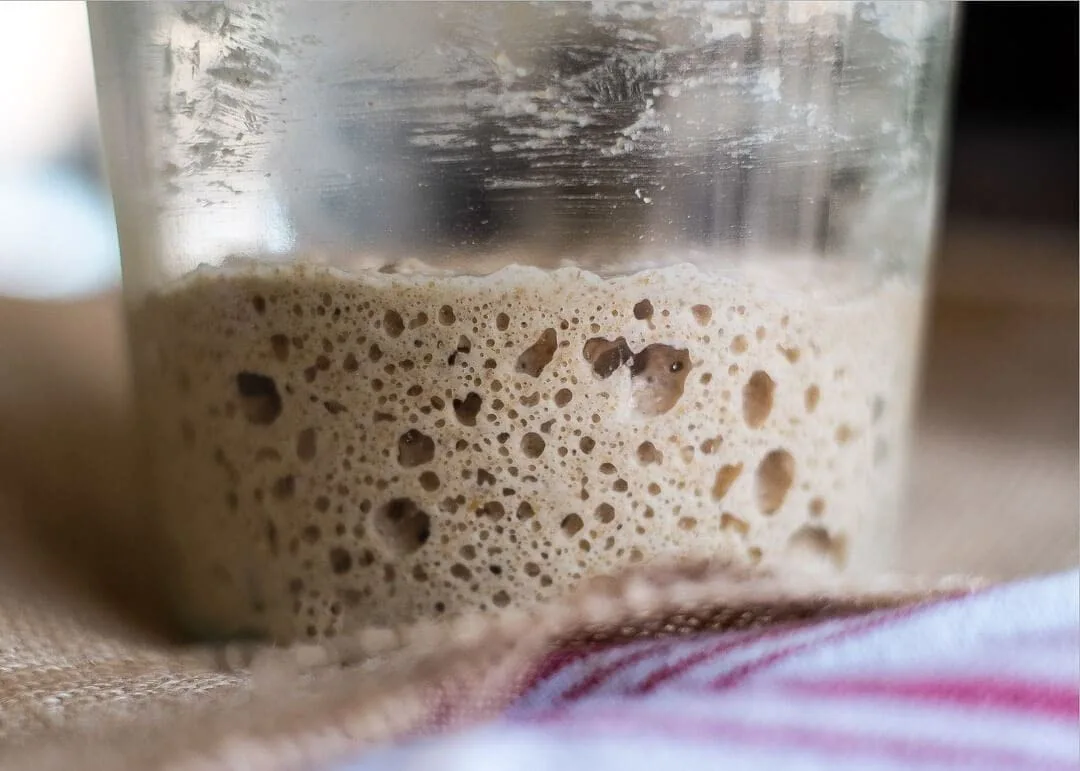 WWJD Soviet Rye Sourdough Starter. Organic Fresh Active Russian heritage sour yeast culture. From Russia with Love